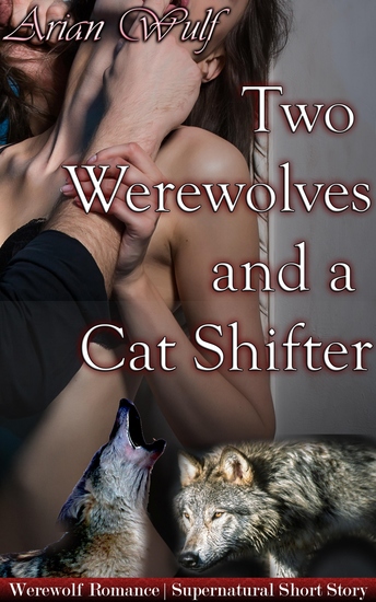 Two Werewolves And A Cat Shifter - Book 3 of "Submissive Shifters & Werewolf Alphas" - cover