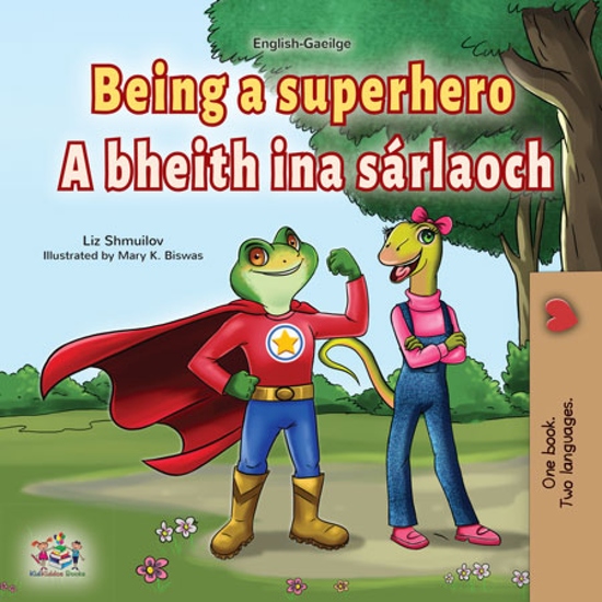 Being a Superhero A bheith ina sárlaoch - cover