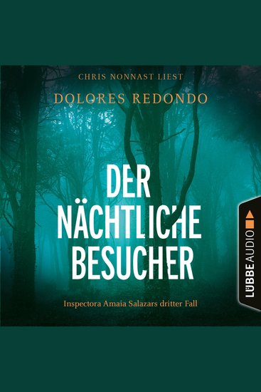 Der nächtliche Besucher - Inspectora Amaia Salazars dritter Fall - Die Baztán-Trilogie Teil 3 (Ungekürzt) - cover