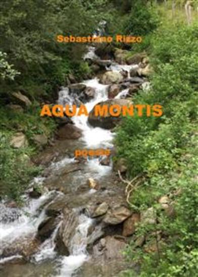 Aqua montis - Poesie - cover
