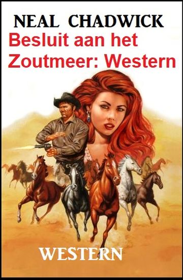 Besluit aan het Zoutmeer: Western - cover
