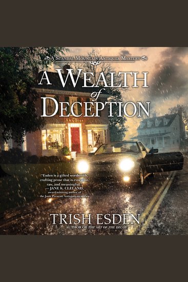 A Wealth of Deception - cover