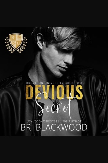 Devious Secret - cover