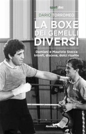 La boxe dei gemelli diversi - Damiani e Maurizio Stecca trionfi discese dolci risalite - cover