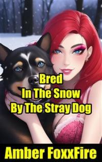 Bred In The Snow By The Stray Dog