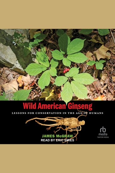 Wild American Ginseng - Lessons for Conservation in the Age of Humans - cover