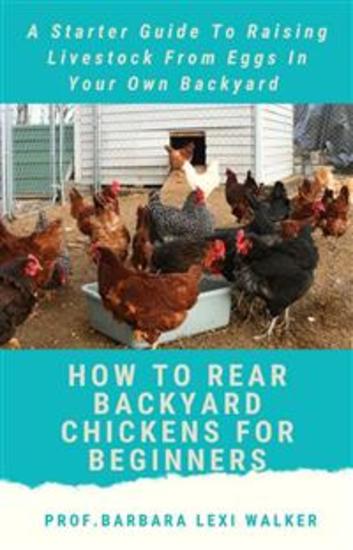 How To Rare a Backyard Chicken For Beginners - A Starter Guide To Raising Livestock From Eggs In Your Own Backyard - cover