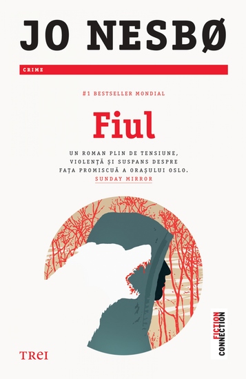 Fiul - cover