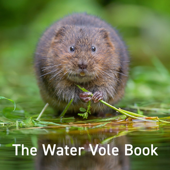 The Water Vole Book - cover