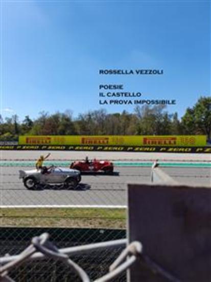 Poesie Il castello la prova impossibile - cover
