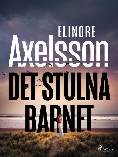 Det stulna barnet - cover