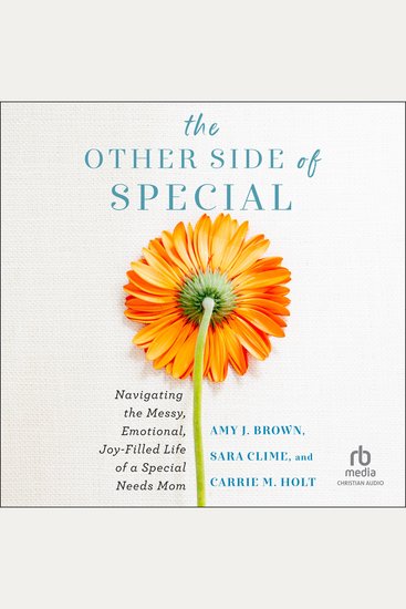 The Other Side of Special - Navigating the Messy Emotional Joy-Filled Life of a Special Needs Mom - cover