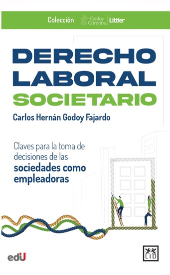 Derecho Laboral Societario - Claves para la toma de decisiones de las sociedades como empleadoras - cover