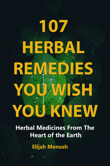 107 Herbal Remedies You Wish You Knew - Herbal Medicine From the Heart of the Earth - cover
