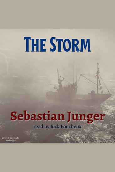 The Storm - cover