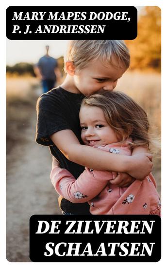 De zilveren schaatsen - cover