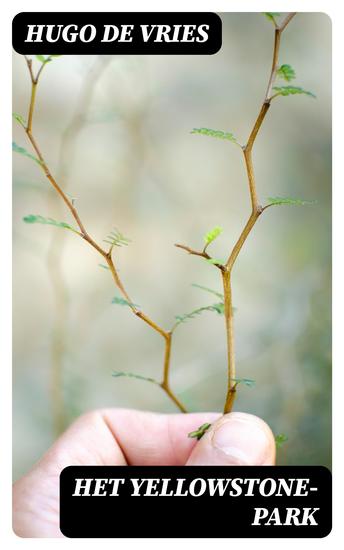 Het Yellowstone-Park - cover
