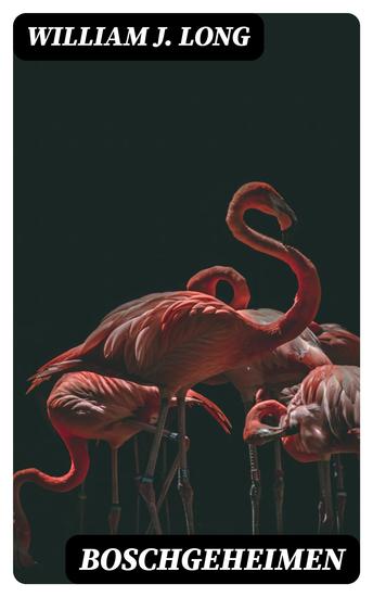 Boschgeheimen - cover