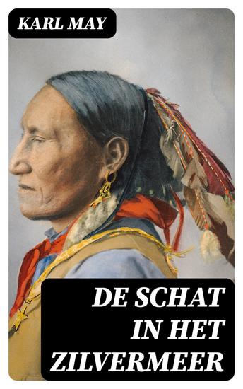 De schat in het Zilvermeer - cover