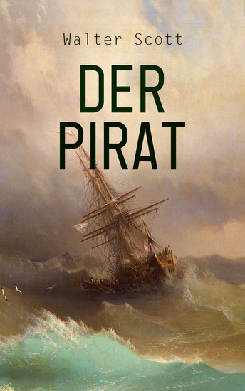 Der Pirat - Historischer Roman - cover