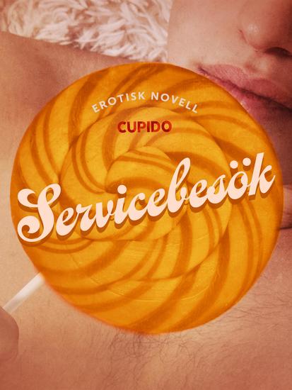 Servicebesök - erotisk novell - cover