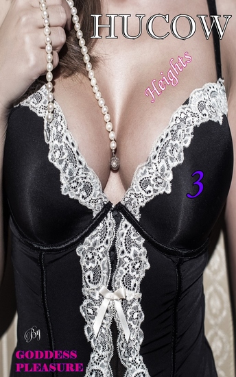 Hucow Heights 3 - cover