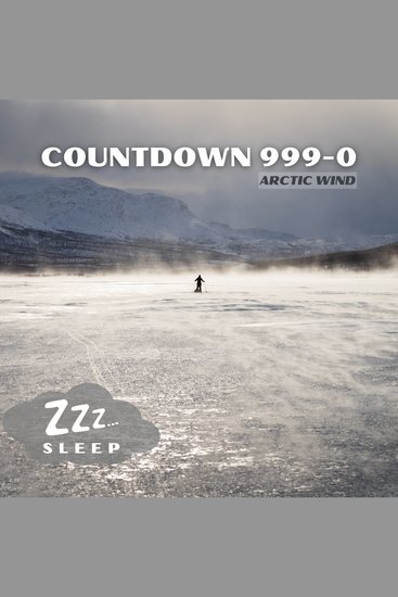 Countdown 999-0: Arctic Wind - cover