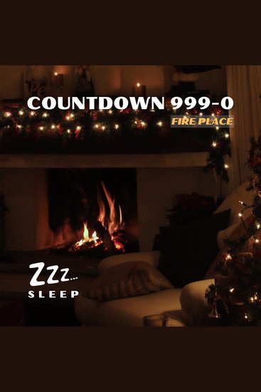Countdown 999-0: Fire Place - cover
