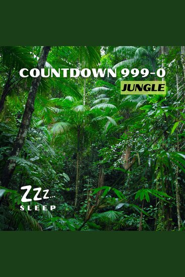 Countdown 999-0: Jungle - cover