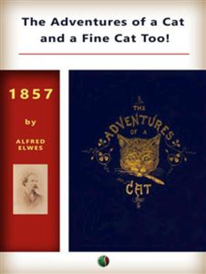 The Adventures of a Cat and a Fine Cat Too! - cover