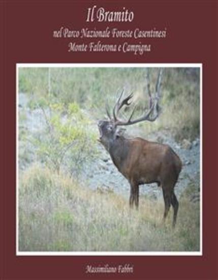 Il Bramito nel Parco Nazionale Foreste Casentinesi Monte Falterona e Campigna - cover