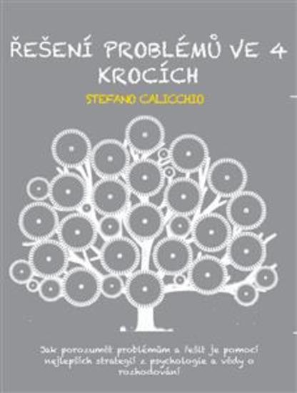 Řešení problémů ve 4 krocích - Jak porozumět problémům a řešit je pomocí nejlepších strategií z psychologie a vědy o rozhodování - cover