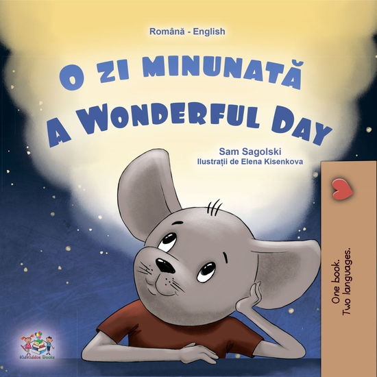 O zi minunată A Wonderful Day - cover