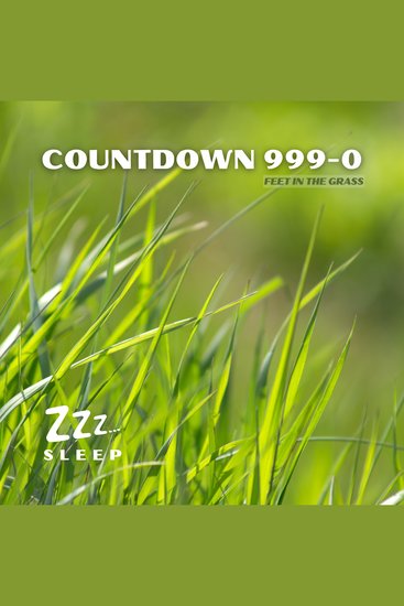Countdown 999-0: Feet in the Grass - cover