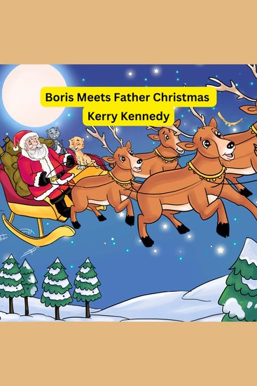 Boris Meets Father Christmas - Children´sbook for0-6years old - cover