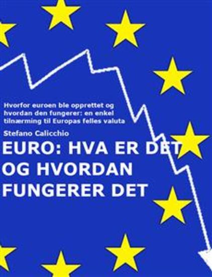 EURO: Hva er det og hvordan fungerer den - Hvorfor euroen ble opprettet og hvordan den fungerer: en enkel tilnærming til Europas felles valuta - cover