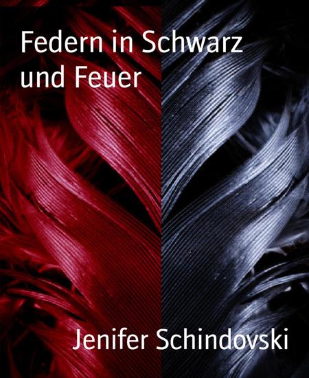 Federn in Schwarz und Feuer - cover