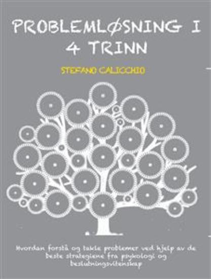 Problemløsning i 4 trinn - Hvordan forstå og takle problemer ved hjelp av de beste strategiene fra psykologi og beslutningsvitenskap - cover
