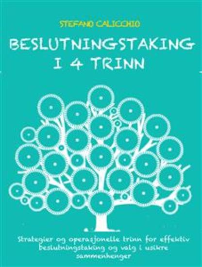 Beslutningstaking i 4 trinn - Strategier og operasjonelle trinn for effektiv beslutningstaking og valg i usikre sammenhenger - cover