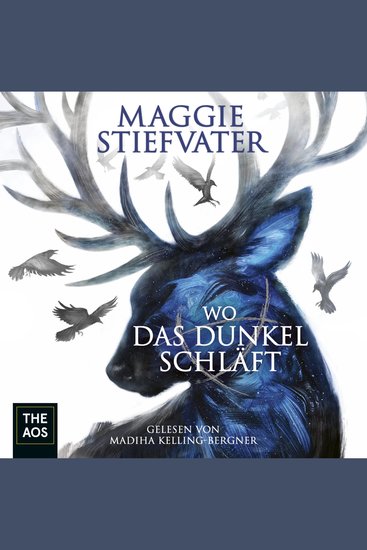 Wo das Dunkel schläft - cover