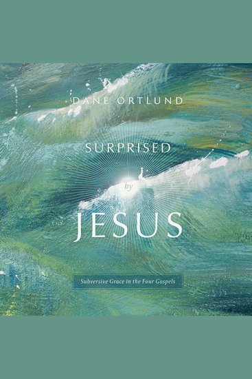 Surprised by Jesus - Subversive Grace in the Four Gospels - cover