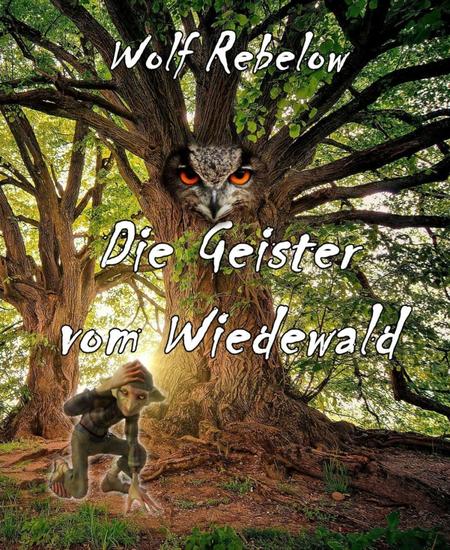 Die Geister vom Wiedewald - Ein Ferienabenteuer - cover