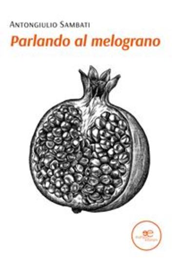 Parlando al melograno - cover