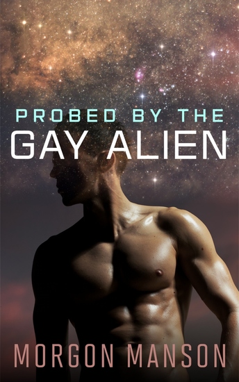 Probed By The Gay Alien - cover