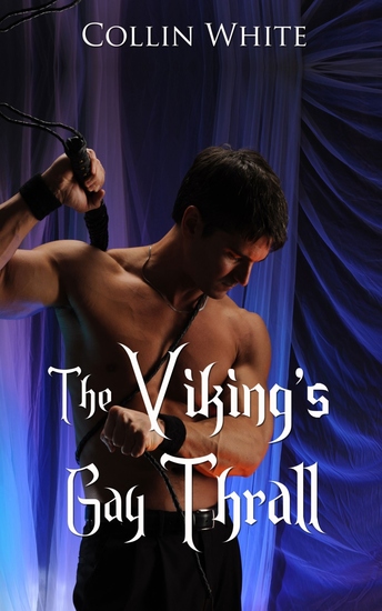 The Viking's Gay Thrall - cover