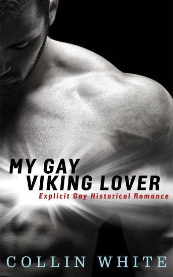My Gay Viking Lover - cover