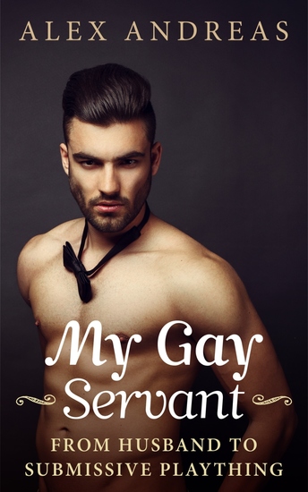 My Gay Servant - cover