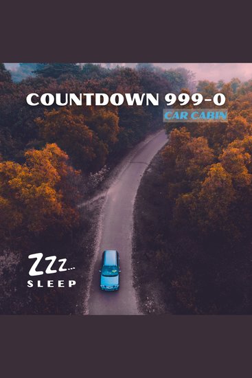 Countdown 999-0: Car Cabin - cover