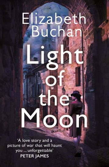Light of the Moon - 'Genuine tension and excitement an excellent novel' Philippa Gregory Sunday Times - cover