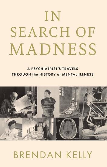 In Search of Madness - A Psychiatrist's Travels Through the History of Mental Illness - cover